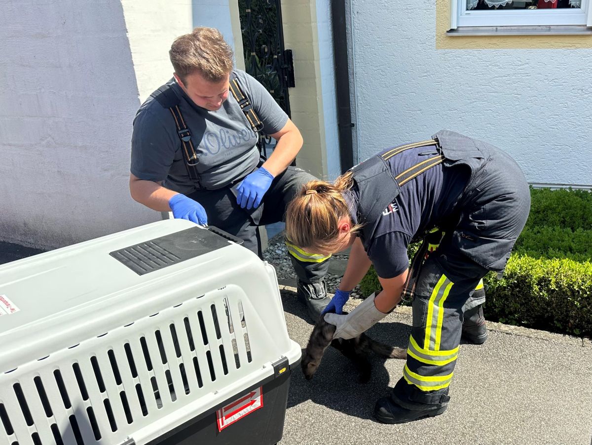 Technische Hilfeleistung