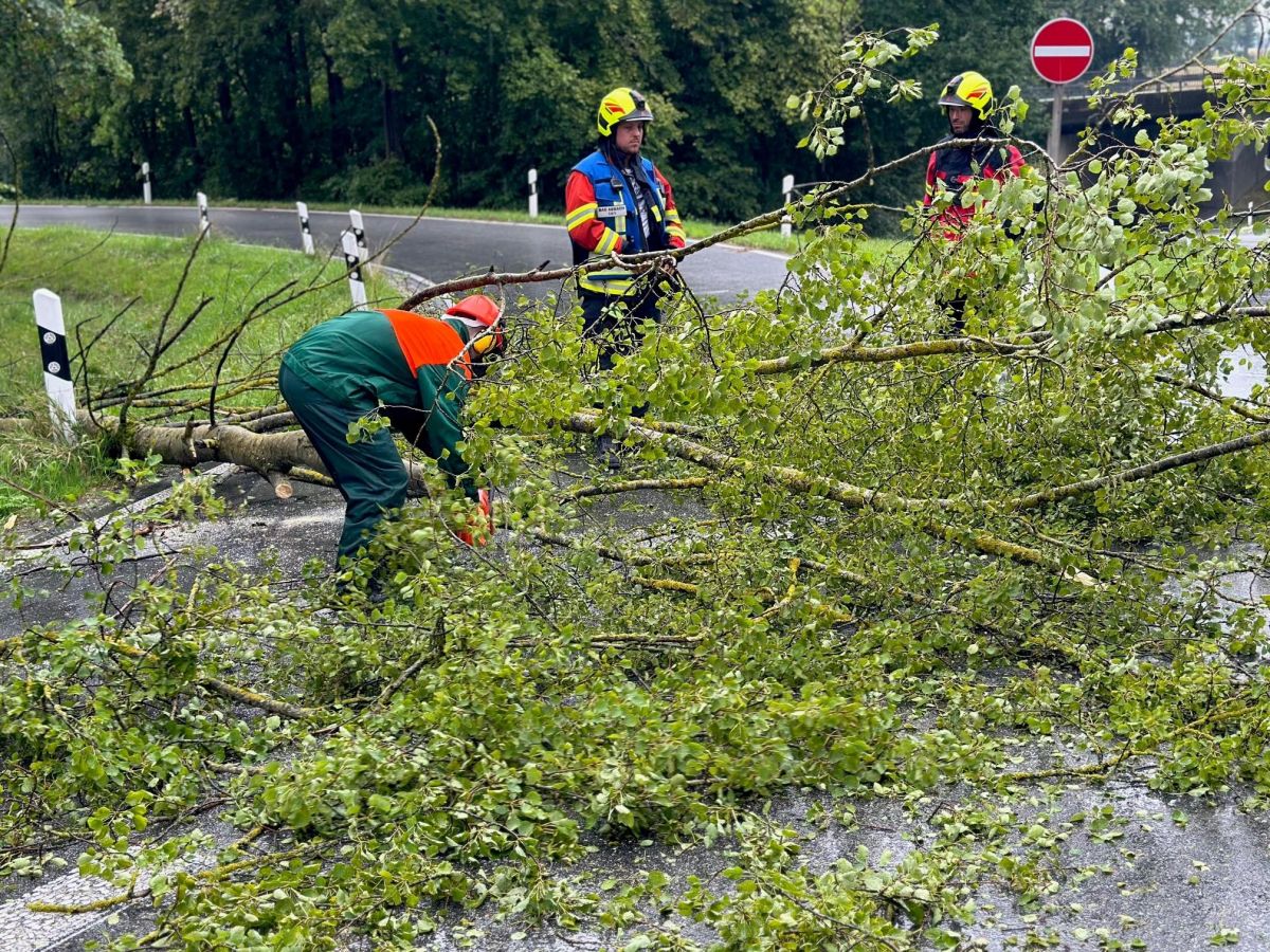 Technische Hilfeleistung